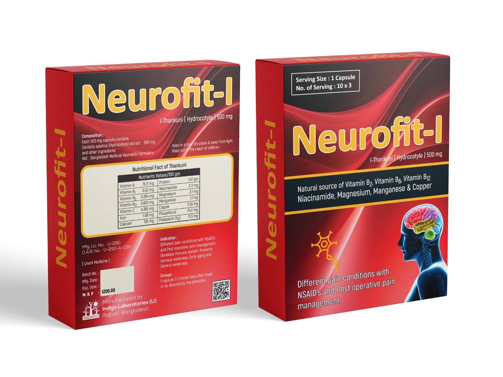 Neurofit-I